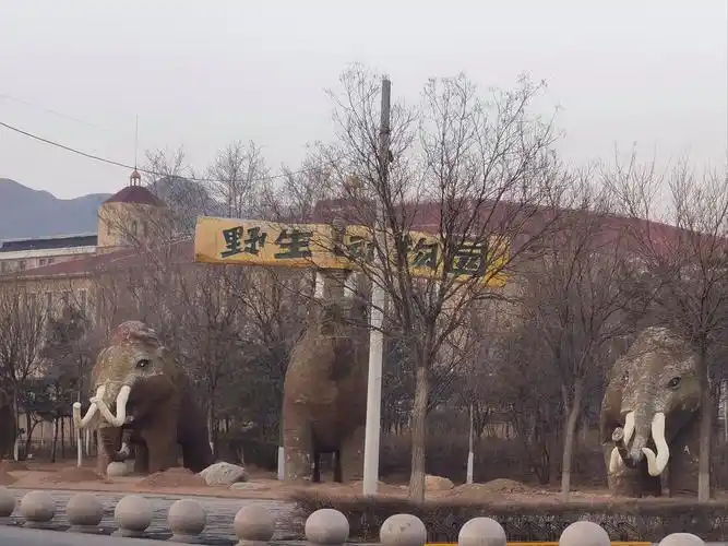 Hohhot Zoo