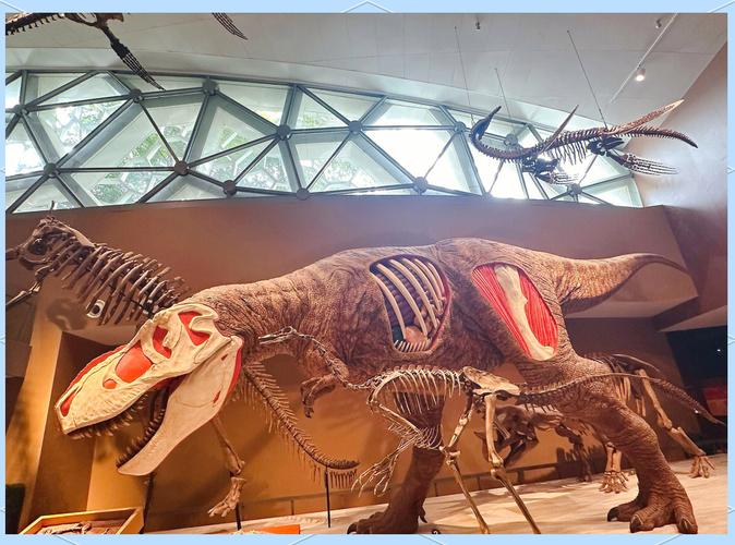 Shanghai Natural History Museum