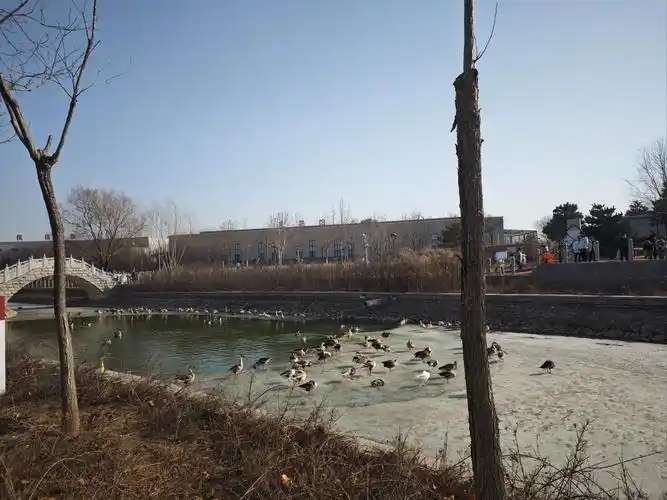 Tangshan Zoo