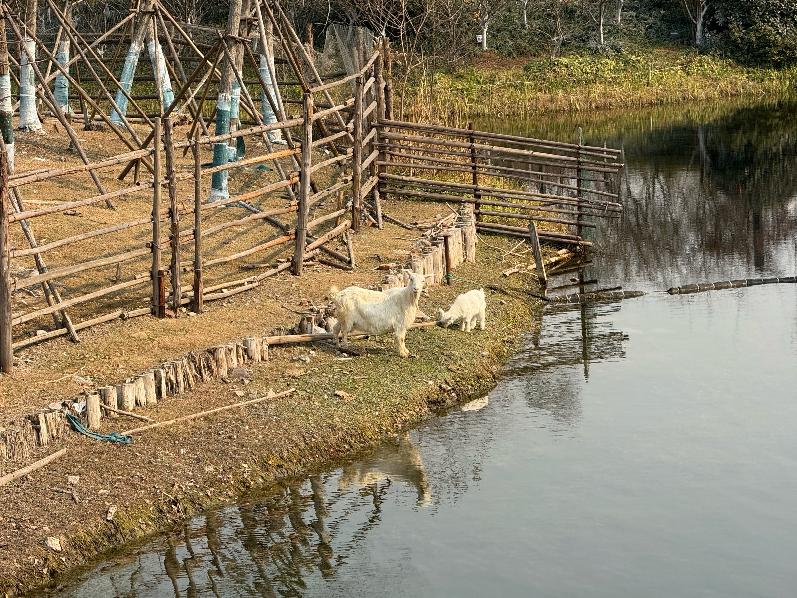 Jiaxing Zoo