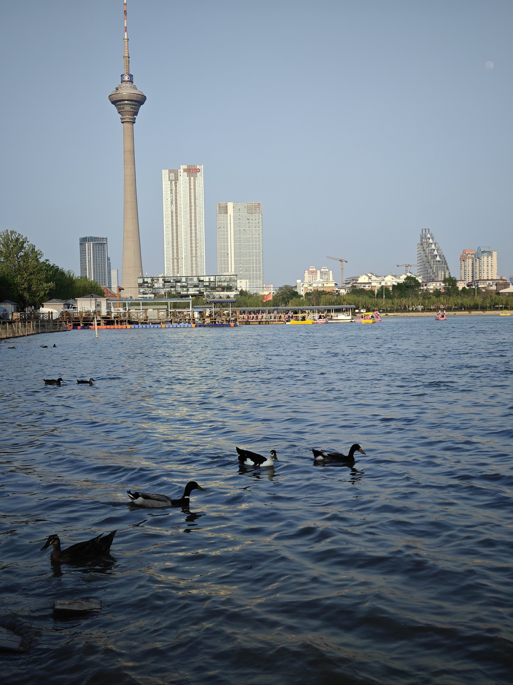 Water Park