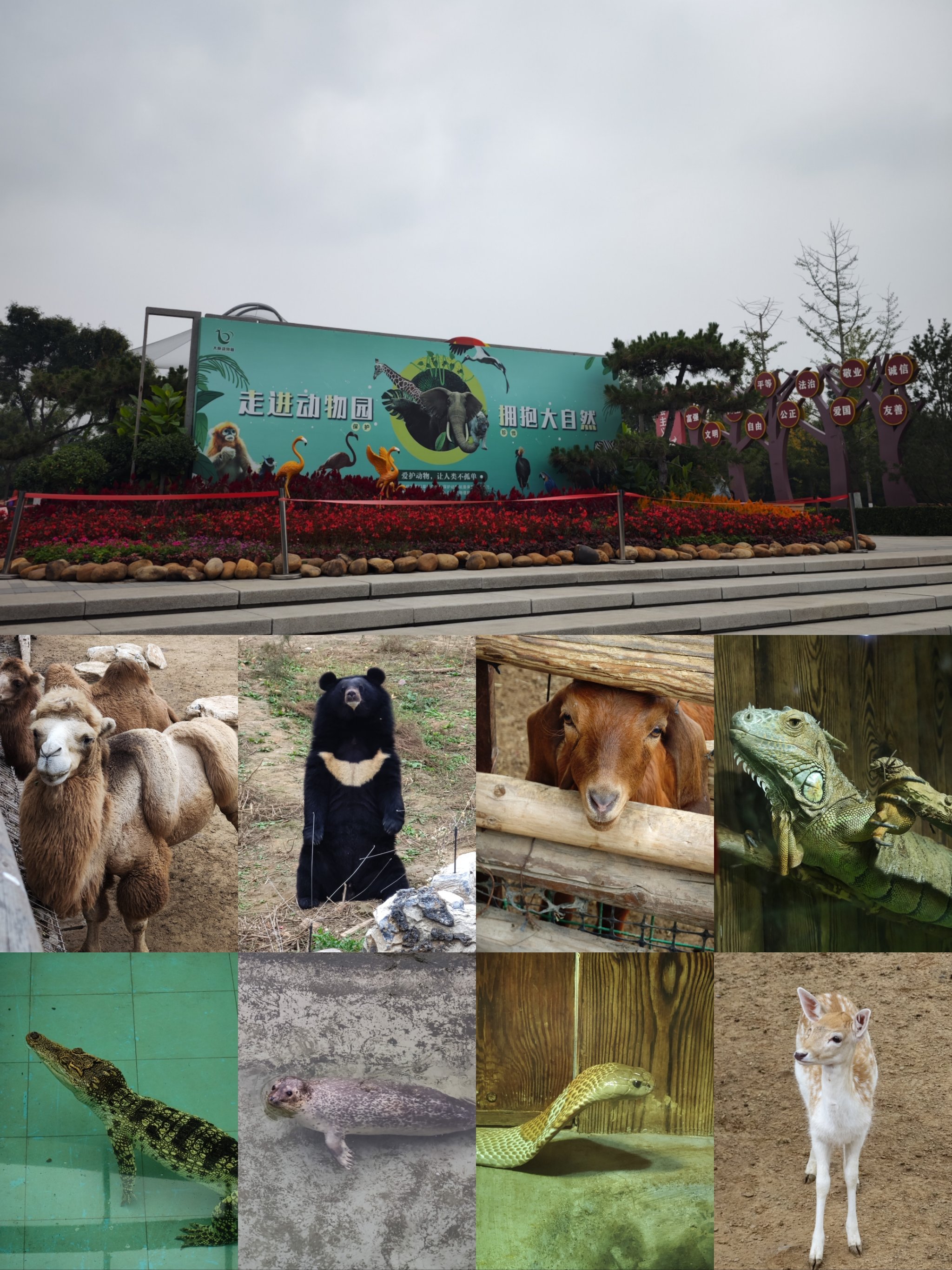 Taiyuan Zoo