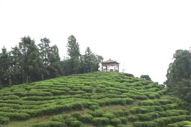 Diantou Town, Fuding