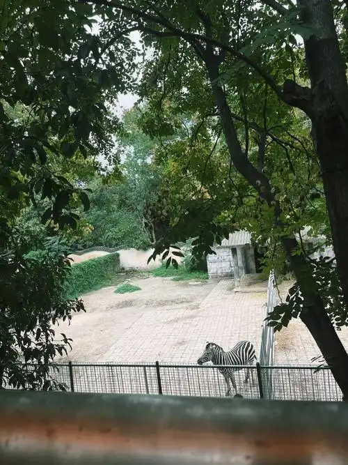 Anqing Zoo