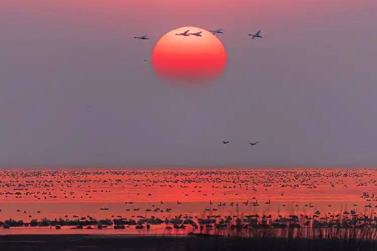 Longgan Lake, Huaining