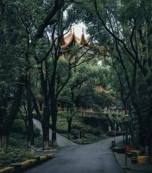 Jin'e Mountain Park