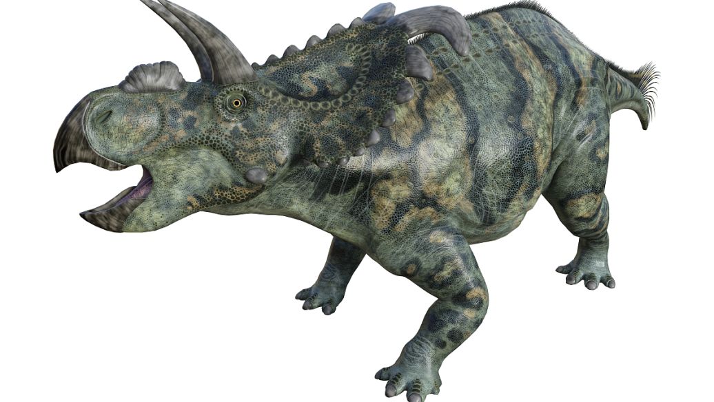 China Dinosaur Park