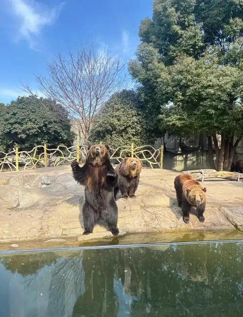 Yancheng Wildlife World