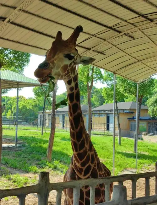 Changzhou Yancheng Wild Animal World