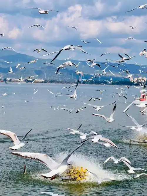 Haigeng Dam