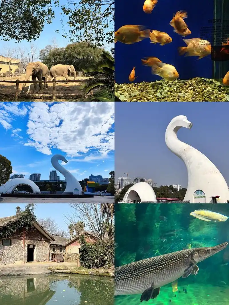 Zoo