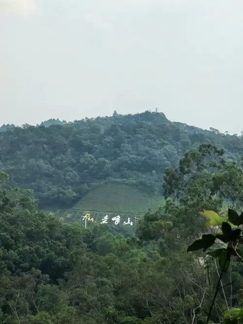 Guifeng Mountain National Forest Park
