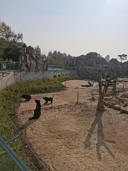 Cangzhou Zoo