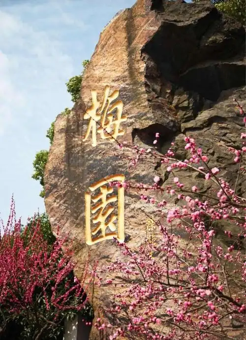 Plum Blossom Garden