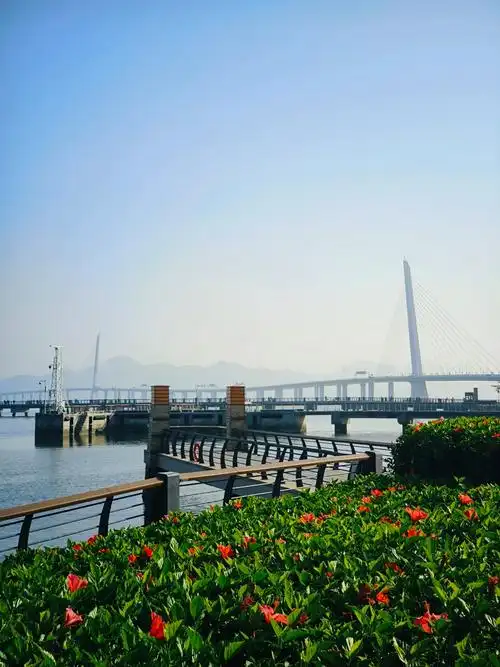 Shenzhen Bay Square