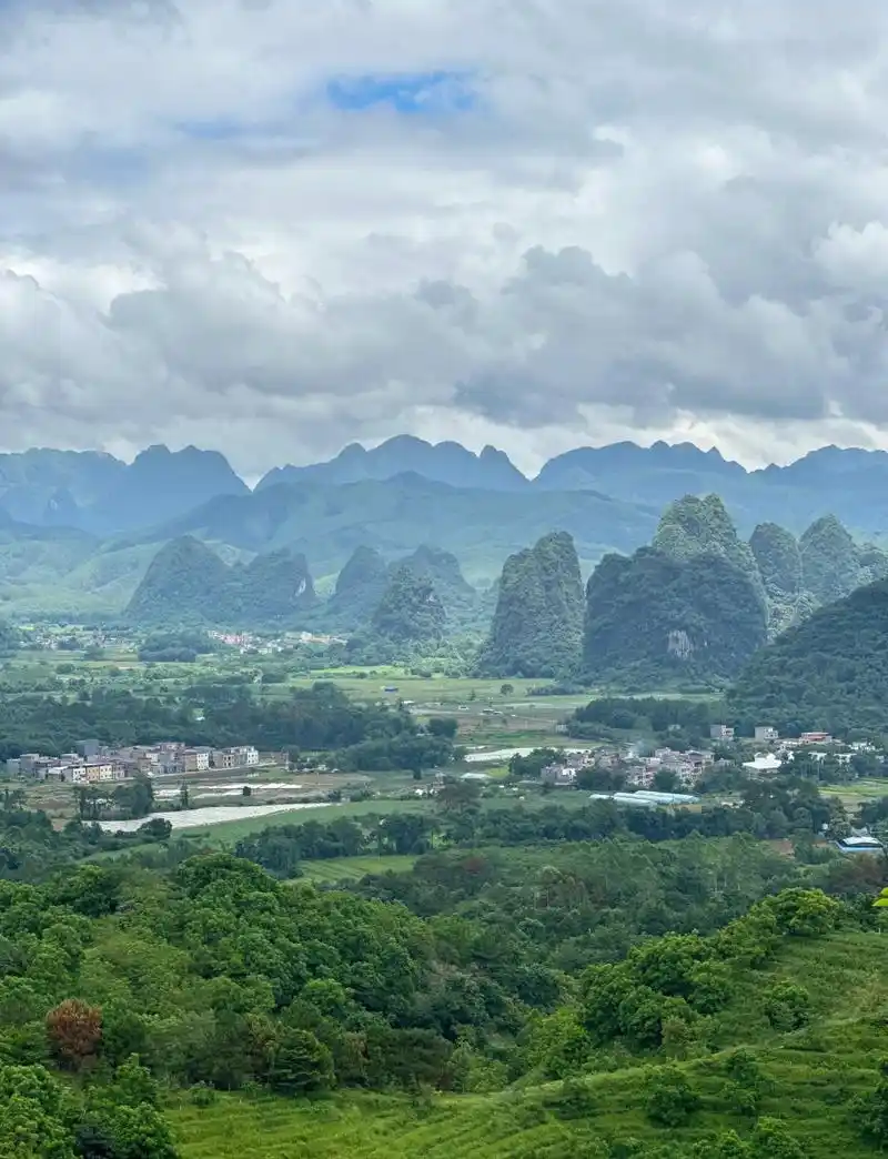 Yingxi Peak Forest Scenic Area
