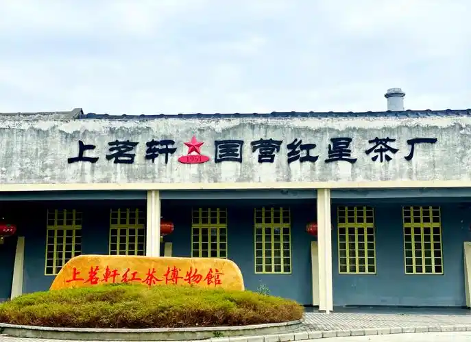 Yingde Black Tea Museum