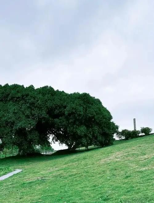 Lingkun Island